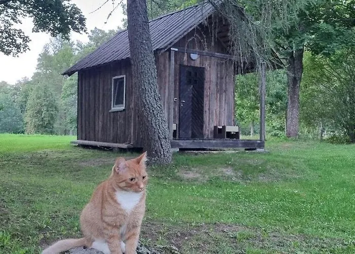 Kemping Oandu Camping *